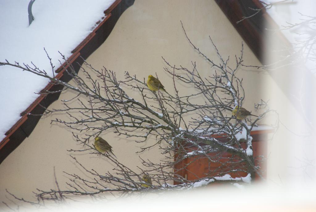 Hotel Gasthof Jägerheim Birgland Exterior foto